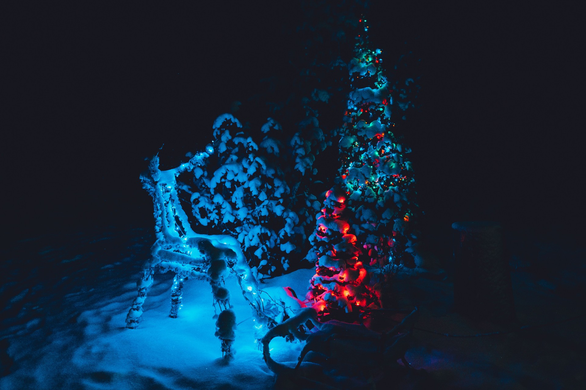 Christmas decoration in the form of a deer in the yard.