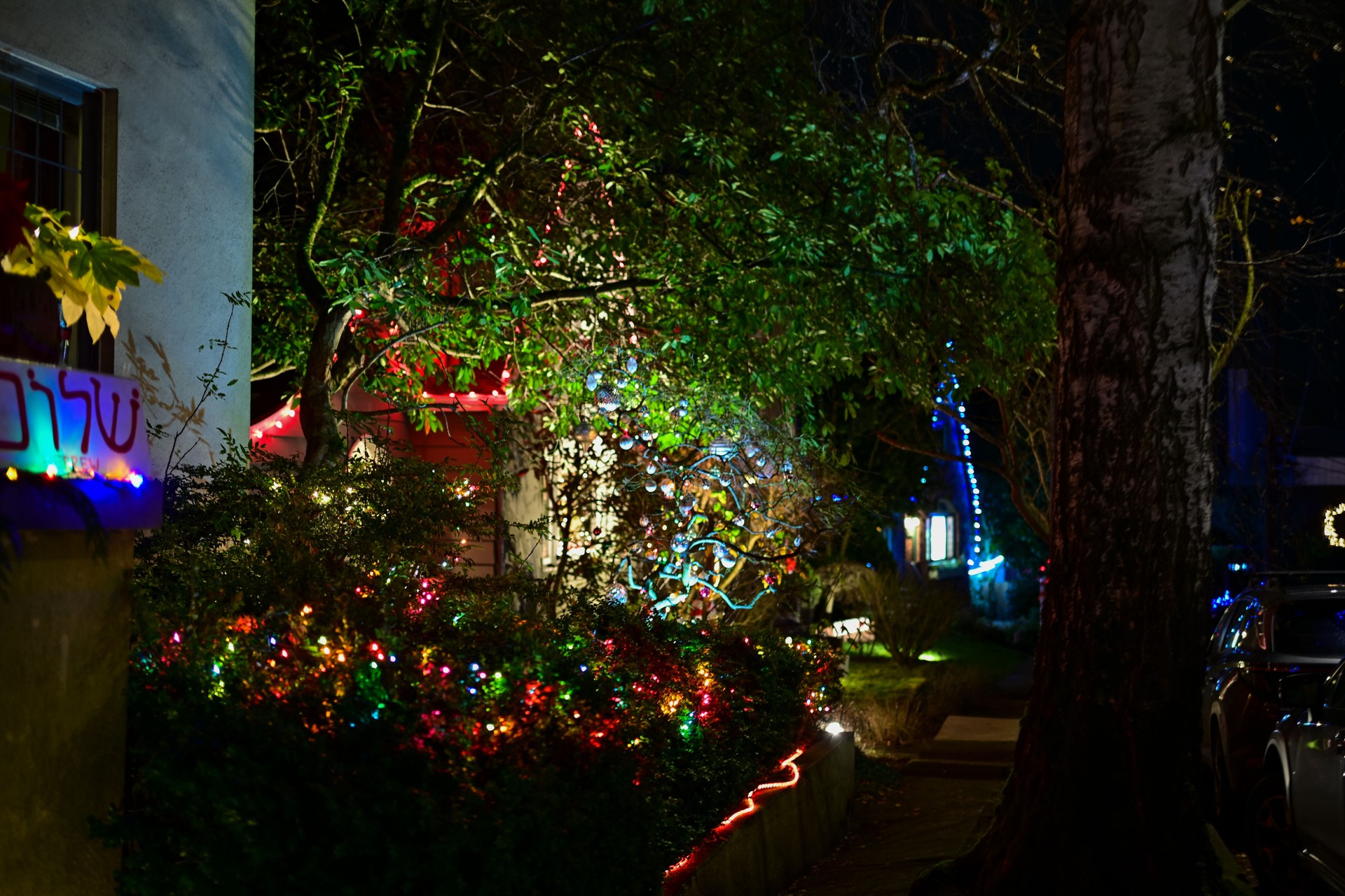 Christmas House Decoration